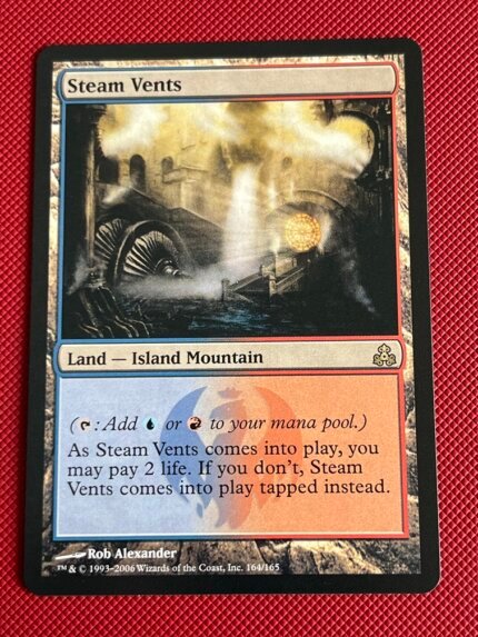 Steam Vents GPT 164 Normal