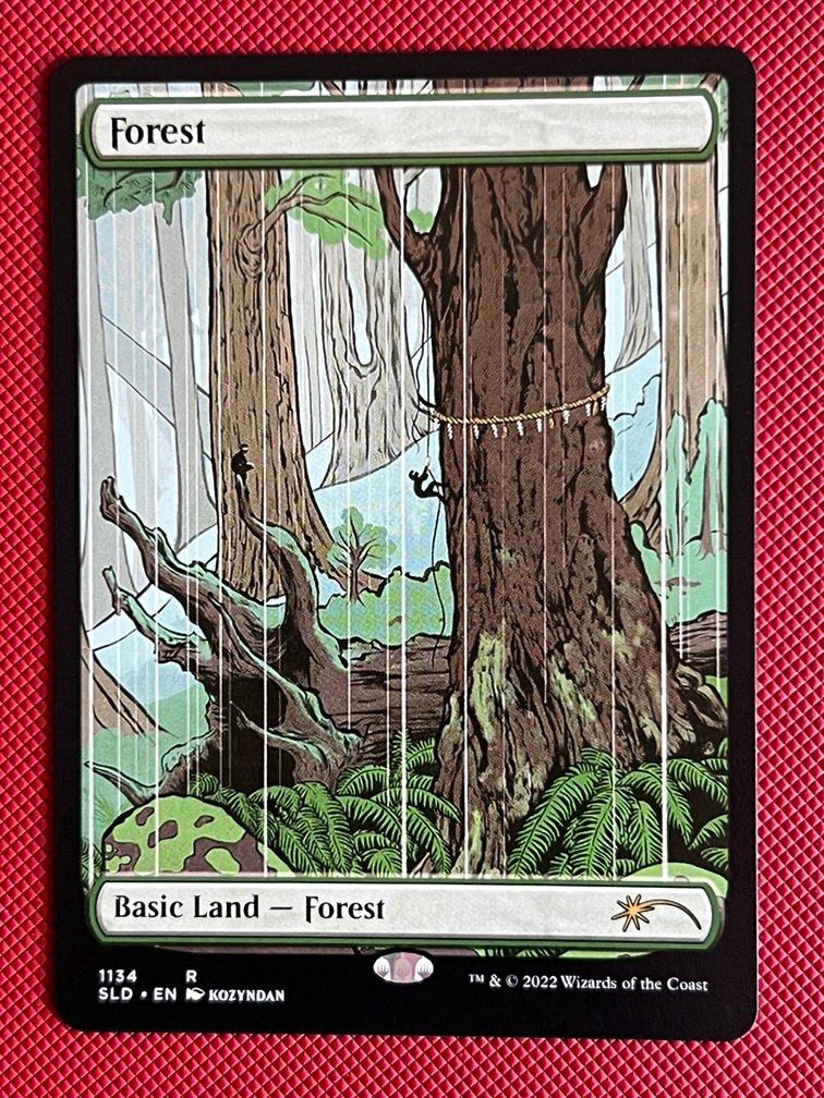 IMG_7108
